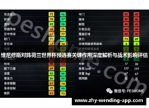 维尼修斯对阵荷兰世界杯预选赛关键作用深度解析与战术影响评估